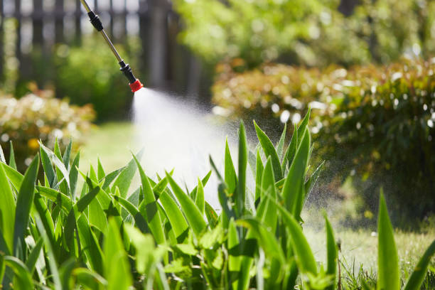 24/7 Emergency Mosquito Control experts in Beaumont, CA