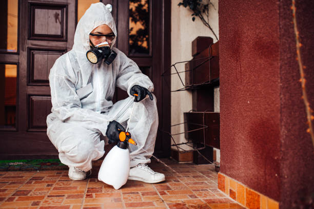 Reliable Mosquito Control contractor in Beaumont, CA by Show Me Pest Control